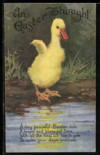 AK Osterküken steht am Rand des Sees, An Easter Thought