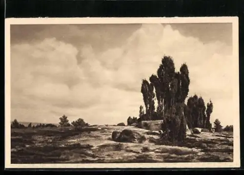 AK Wilsede, Lüneburger Heide, Ganzsache WHW Winterhilfswerk