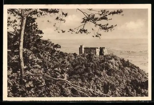 AK Neustadt a. Hdt., Das Hambacher Schloss, Ganzsache WHW Winterhilfswerk 1934 /35