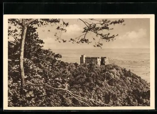 AK Neustadt a. Hdt., Das Hambacher Schloss, Ganzsache WHW Winterhilfswerk 1934 /35