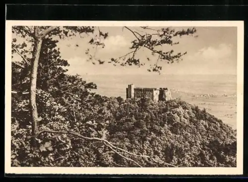 AK Neustadt a. Hdt., Historisches Hambacher Schloss, Ganzsache WHW Winterhilfswerk 1934 /35