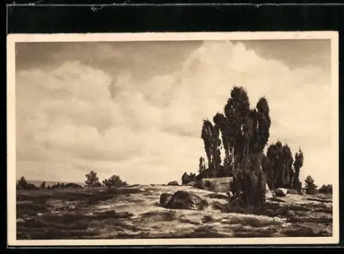 AK Wilsede, Blick in die Lüneburger Heide, Ganzsache WHW Winterhilfswerk