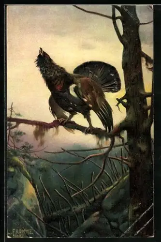 Künstler-AK Ludwig Fromme: Auerhahn im Baum