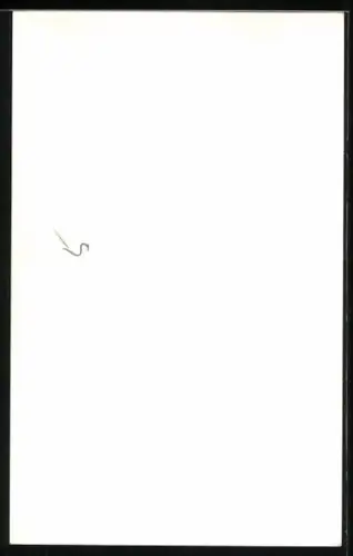 AK René Carol mit Gitarre