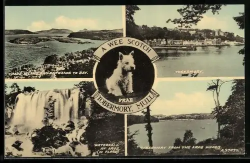 AK Tobermory /Mull, Different perspectives of Tobermory and the dog Frae