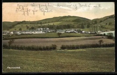 AK Palnackie, Panorama
