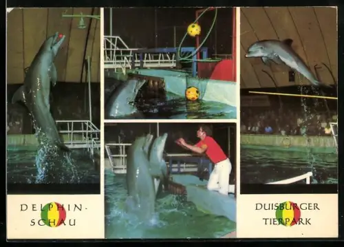 AK Duisburg, Delphin-Schau im Tierpark