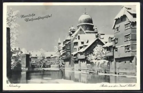 AK Nürnberg, Insel Schütt mit Synagoge