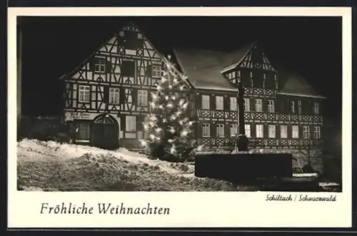 AK Schiltach /Schwarzwald, Fachwerkhäuser bei Nacht, Weihnachtsbaum
