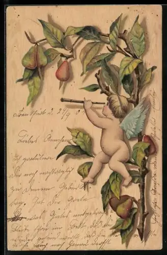 AK Amor sieht durch ein Fernrohr, Birnenbaum