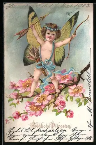 AK Fröhliche Pfingsten, Amor auf einem blühenden Ast