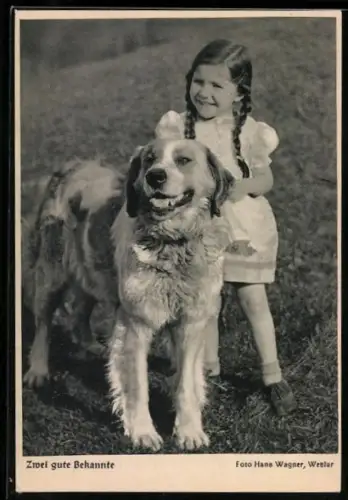 AK Zwei gute Bekannte, Bernhardiner und kleines Mädchen