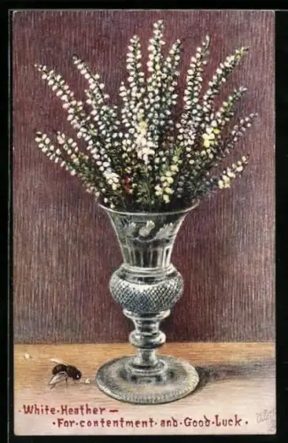 AK White Heather, For Contentment and Good Luck, Biene