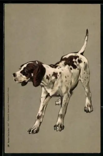 AK Zögerlich zurückweichender Jagdhund
