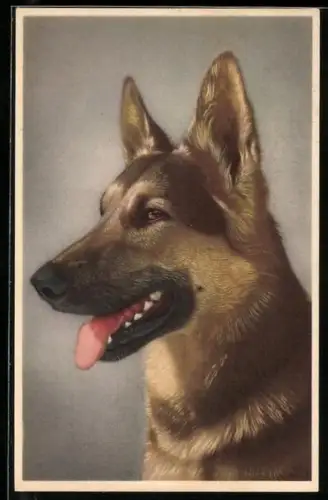 Künstler-AK Schäferhund mit ruhigem Ausdruck