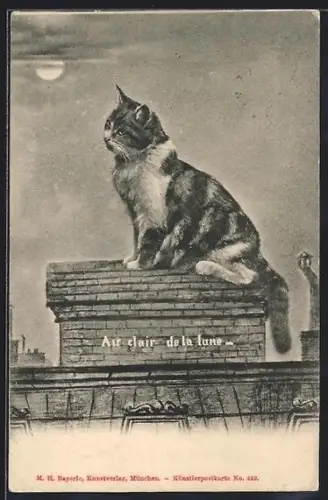 AK Katze bei Vollmond auf einem Dach