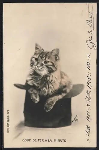 AK Coup de Fer a la Minute, Chat