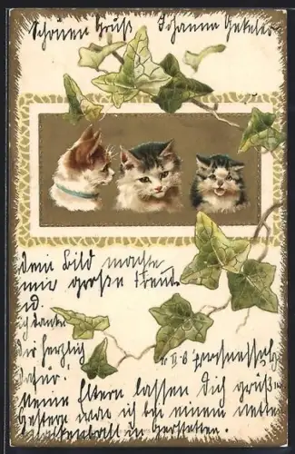 Präge-AK Drei Katzen, Efeu