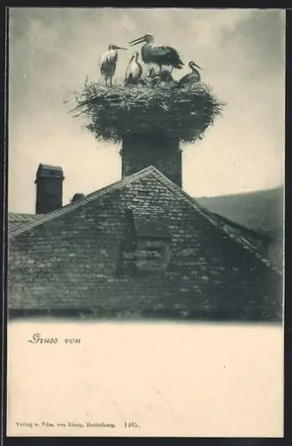 AK Störche im Nest auf einem Schornstein