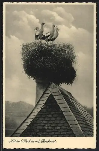 AK Nidda /Hessen, Störche im Nest auf einem Schornstein
