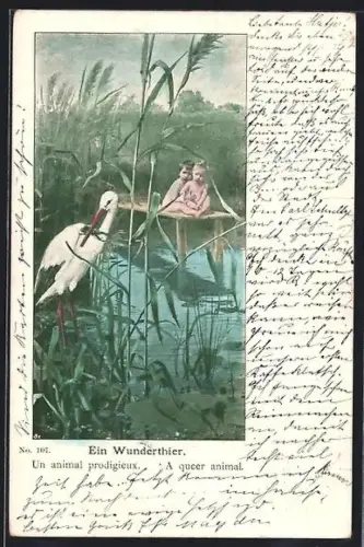 AK Ein Wundertier, Klapperstorch und Babies am See