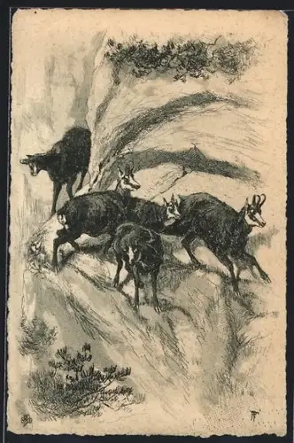 AK Bergziegen im steilen Gelände