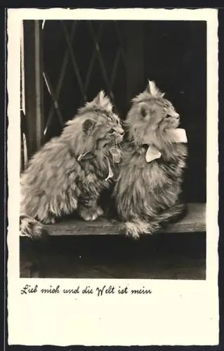 AK Lieb mich..., Zwei Katzen mit Schleifen