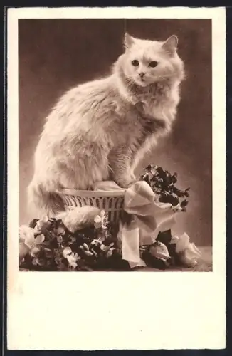 AK Weisse Katze auf Podest mit Blumen