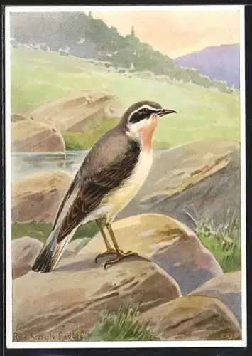 AK Steinschnitzer auf einem Felsen