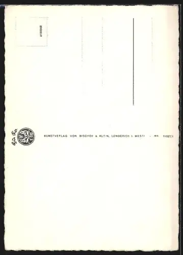 AK Fohlen auf der Weide