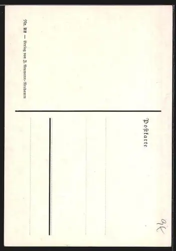 AK Enten auf einer Wiese