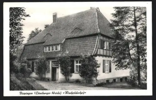 AK Bispingen /Lüneburger Heide, Wacholderhof