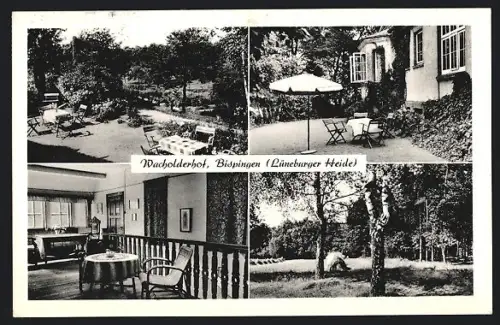 AK Bispingen /Lüneburger Heide, Wacholderhof, Gartenansichten, Innenraum