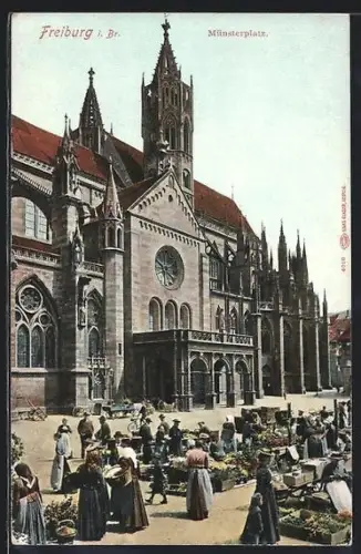 AK Freiburg i. Br., Münsterplatz, Marktgeschehen vor dem Münster