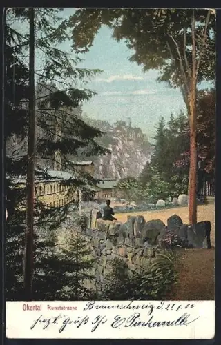 AK Okertal, Kunststrasse, Waldlandschaft