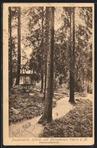 AK Freudenstadt, Palmenwaldpartie