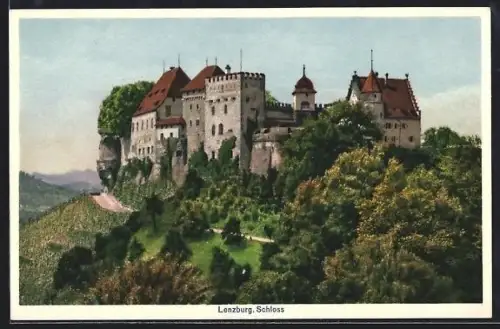 AK Lenzburg, Schloss mit anliegendem Wald