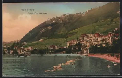 AK Territet, Grand Hotel des Alpes