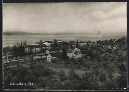 AK Münsterlingen /Thg., Teilansicht mit anliegendem Wald