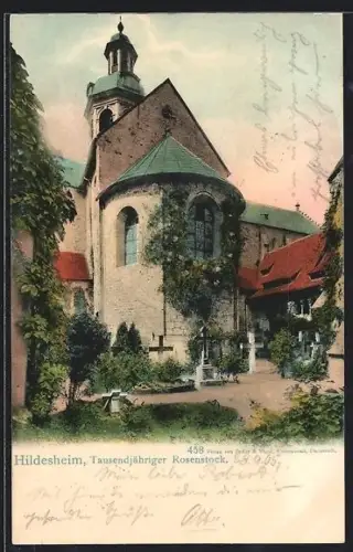 AK Hildesheim, Tausendjähriger Rosenstock