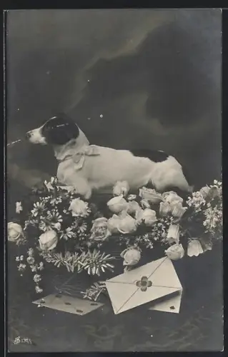 AK Hund neben Rosen mit Briefen