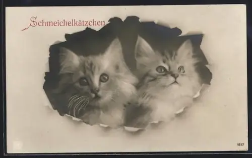 AK Schmeichelkätzchen, Zwei Katzenkinder