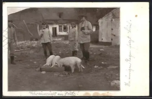 Foto-AK Schweinezucht im Felde, Schweine und Soldaten