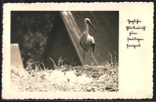 AK Klapperstorch, Glückwunsch zum freudigen Ereignis