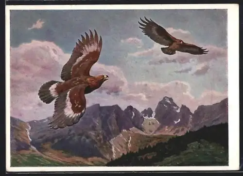 AK Deutsche Jägerschaft, Kreisende Adler