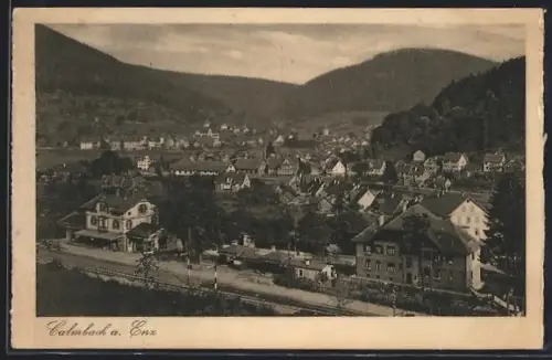 AK Calmbach a. Enz, Ortsansicht mit Bahnhofsgebäude und umliegenden Häusern