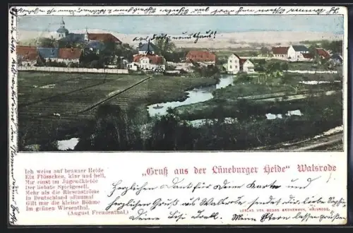 AK Walsrode /Lüneburger Heide, Ansicht auf Stadt und Fluss