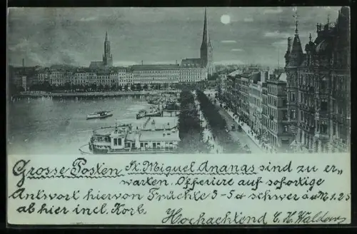 Mondschein-AK Hamburg, Alster, Rathaus, St. Petri Kirche