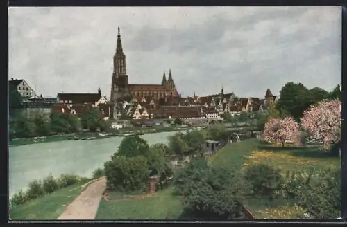 AK Ulm a. D., Münster, Donauufer, Altstadt