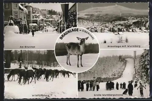 AK Braunlage /Oberharz, Am Brunnen, Braunlage mit Wurmberg, Wildfütterung, Grosse Wurmbergschanze